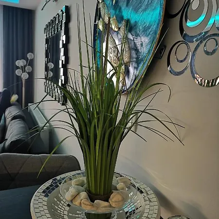 Silver Gray アパート