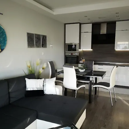 Silver Gray バラトンレッレ