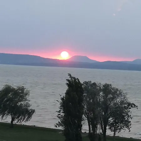 Silver Gray バラトンレッレ